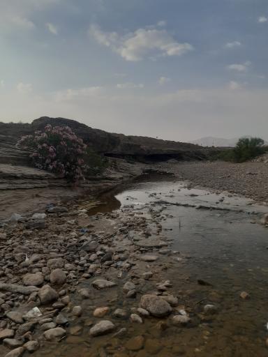 عکس تخته سنگ
