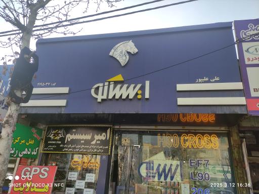 عکس ایساکو علیپور