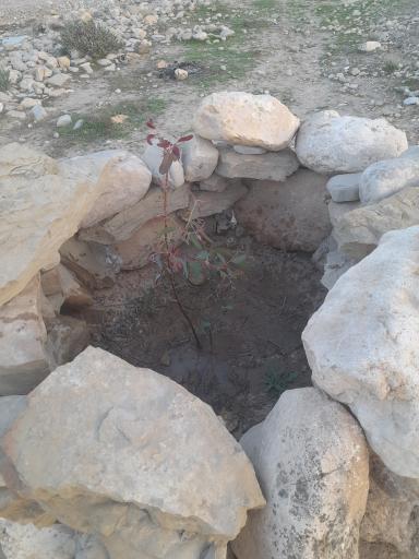 عکس تخته سنگ