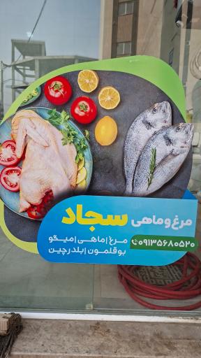 عکس مرغ و ماهی سجاد