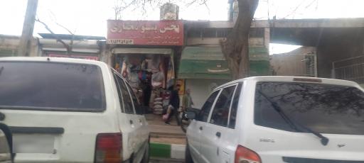 عکس پخش پتو مختاری