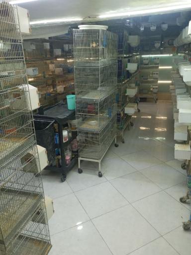 عکس سالن پرورش پرواز گلدین