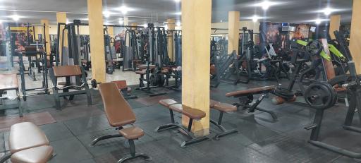 عکس باشگاه بدنسازی مردان آهنین