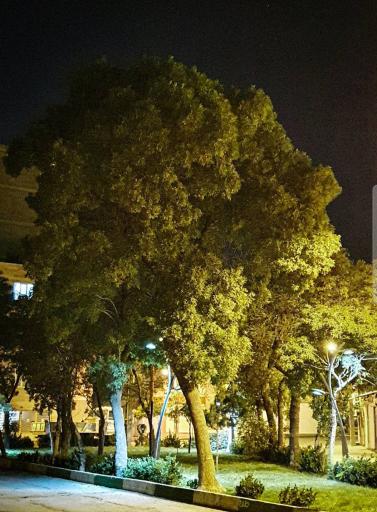 بوستان یعقوبیه