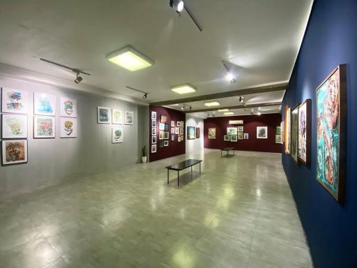 عکس گالری سی سی