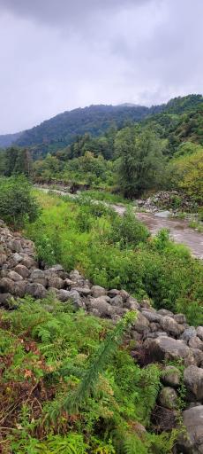 سیاهکلرود