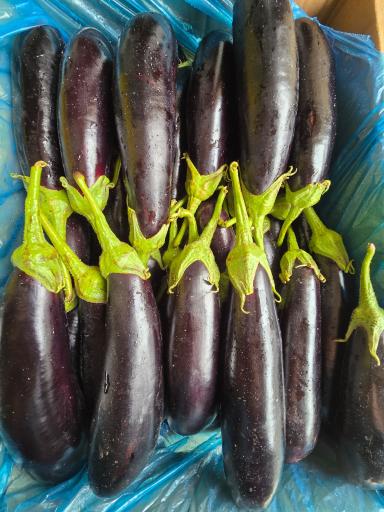 عکس میوه تره بار حمید ترکه