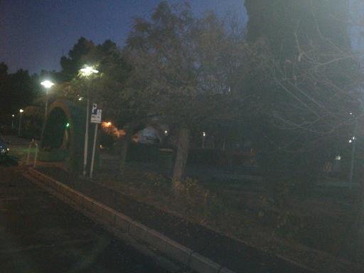 عکس بوستان اقاقیا