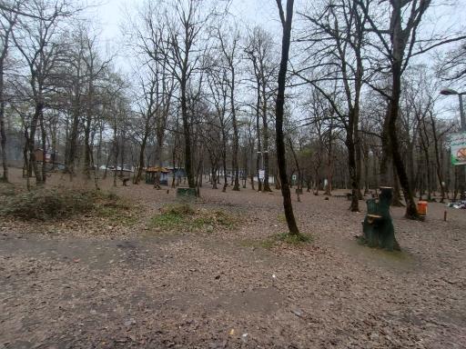 عکس جنگل آب پری