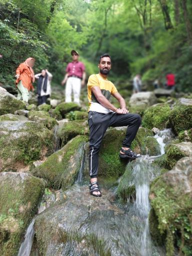 عکس جنگل آب پری