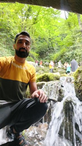 عکس جنگل آب پری