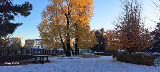 عکس بوستان دانشجو