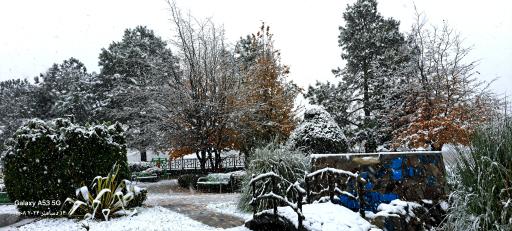 عکس بوستان دانشجو