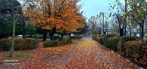 عکس بوستان دانشجو