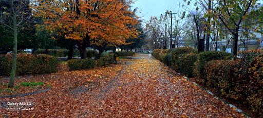 عکس بوستان دانشجو