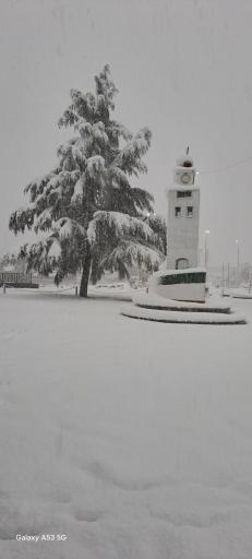 عکس بوستان دانشجو