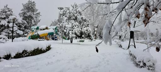 عکس بوستان دانشجو