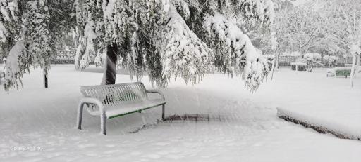 عکس بوستان دانشجو