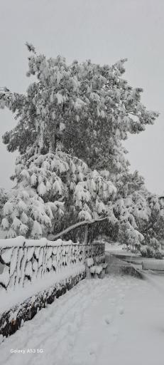 عکس بوستان دانشجو