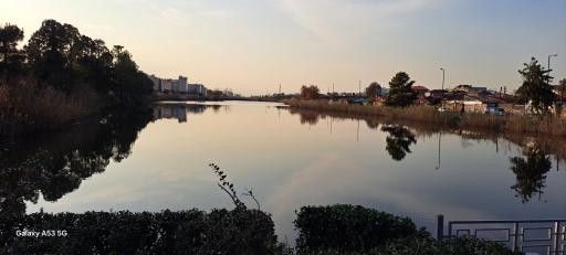 عکس بوستان دانشجو