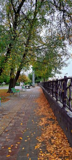 عکس بوستان دانشجو