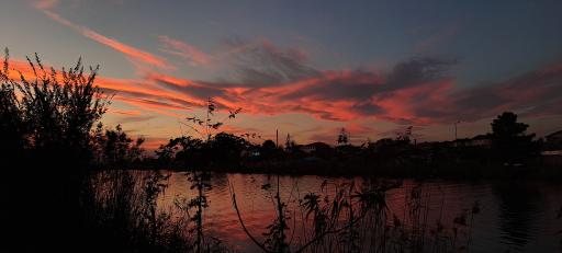 عکس بوستان دانشجو