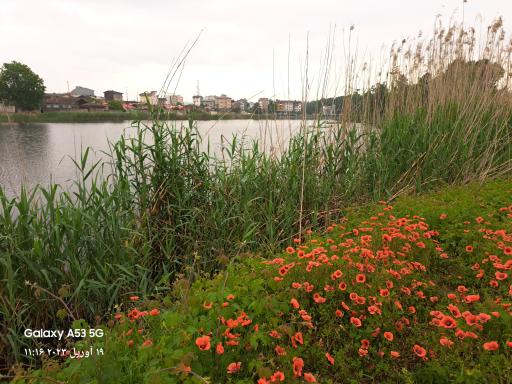 عکس بوستان دانشجو