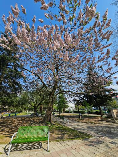 بوستان دانشجو