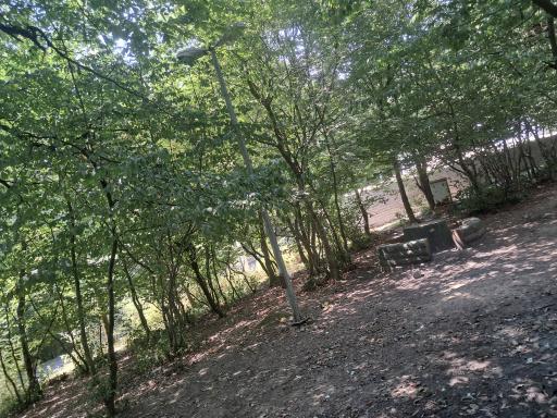 عکس جنگل آب پری