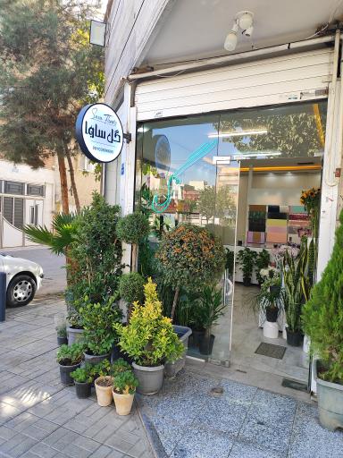 عکس گل ساوا