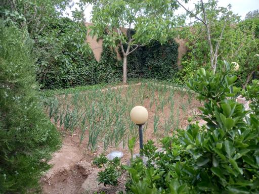 عکس کمپ ترک اعتیاد نسیم هوشیاری امید