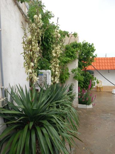 عکس کمپ ترک اعتیاد نسیم هوشیاری امید