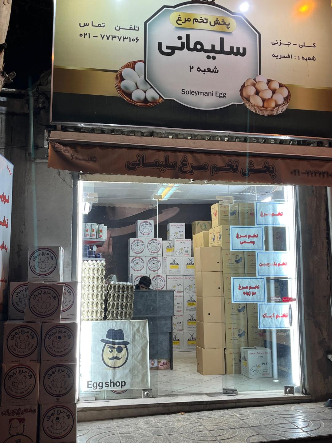 عکس پخش تخم مرغ سلیمانی ۲