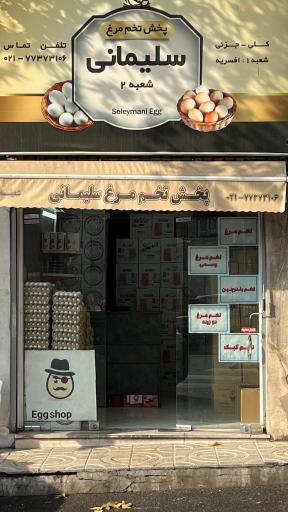 عکس پخش تخم مرغ سلیمانی