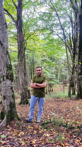 عکس جنگل آب پری