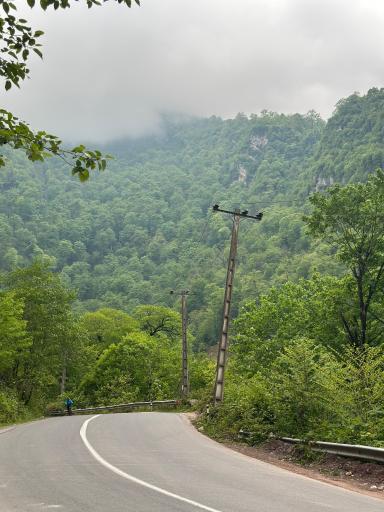 عکس جنگل آب پری