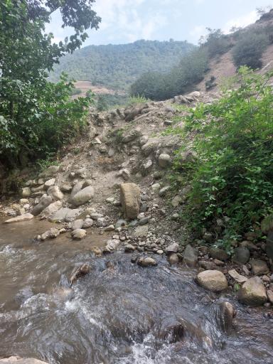 عکس جنگل آب پری