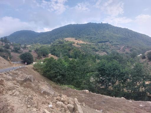 عکس جنگل آب پری