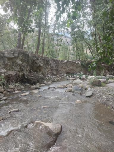 عکس جنگل آب پری