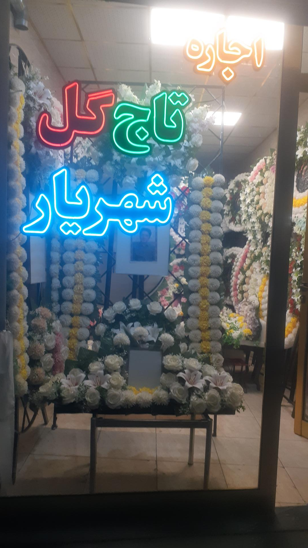 عکس تاج گل شهریار 