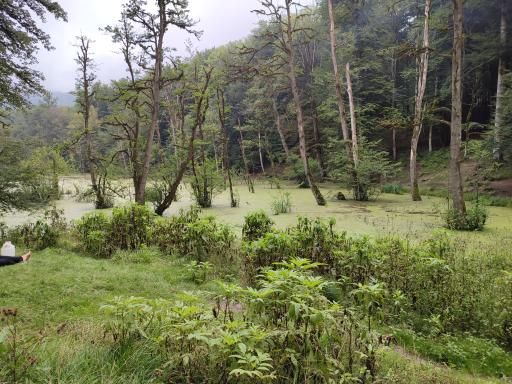 عکس مرداب دریوک