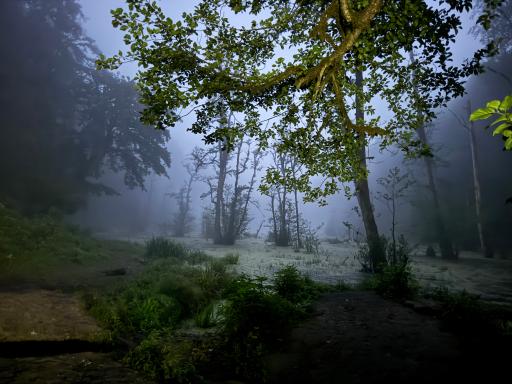 عکس مرداب دریوک