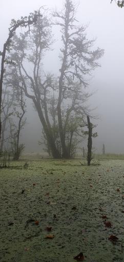 عکس مرداب دریوک