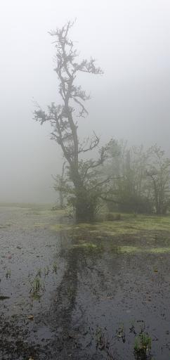 عکس مرداب دریوک