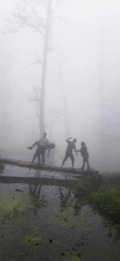 عکس مرداب دریوک