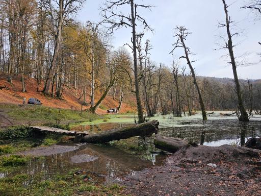 عکس مرداب دریوک