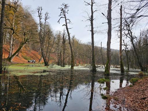 عکس مرداب دریوک