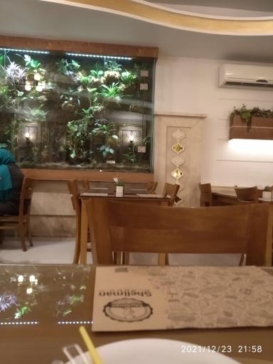 عکس پیتزا شلمان