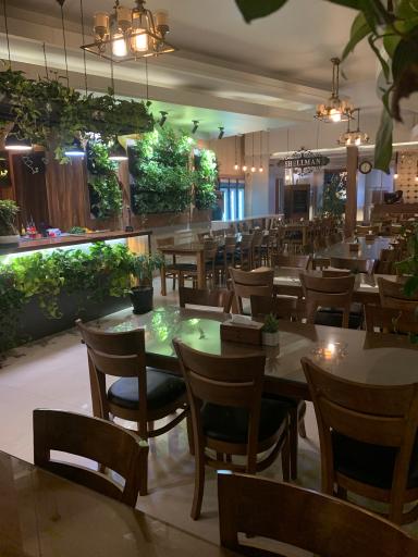 عکس پیتزا شلمان