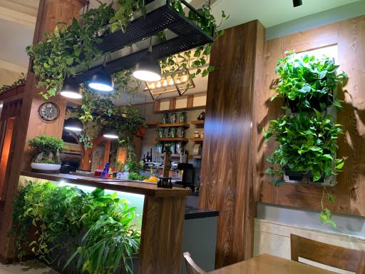 عکس پیتزا شلمان